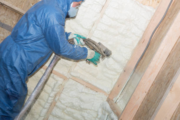 Best Radiant Barrier Insulation  in Dalworthington Gardens, TX